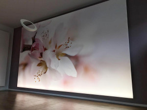 Descor-Wandbild-Hauser-Maler-Buehl